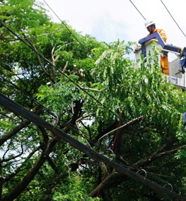 EVNHCMC: Tăng cường công tác an toàn điện trong mùa mưa bão